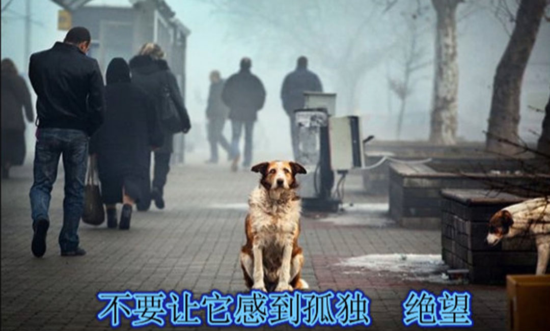 江苏江苏爱影圈微博微信转发案例